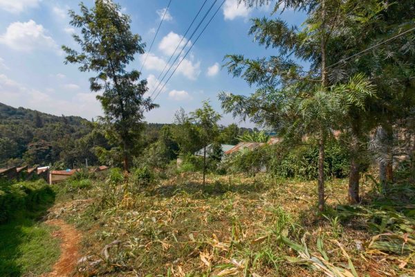 Quarter Acre in Kidfarmaco Kikuyu