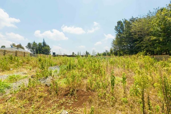 50by100 Plot in Ngámba – Kikuyu