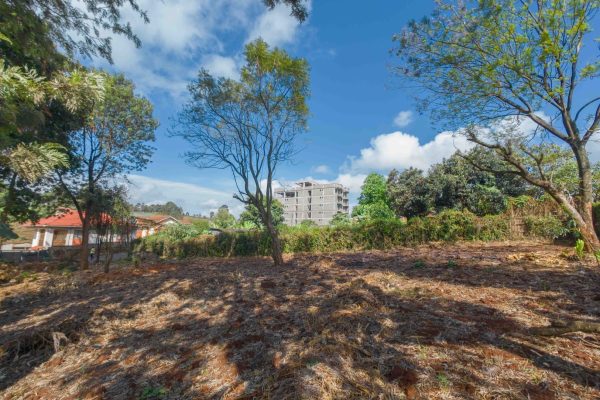 Quarter Acre in Kidfarmaco Estate